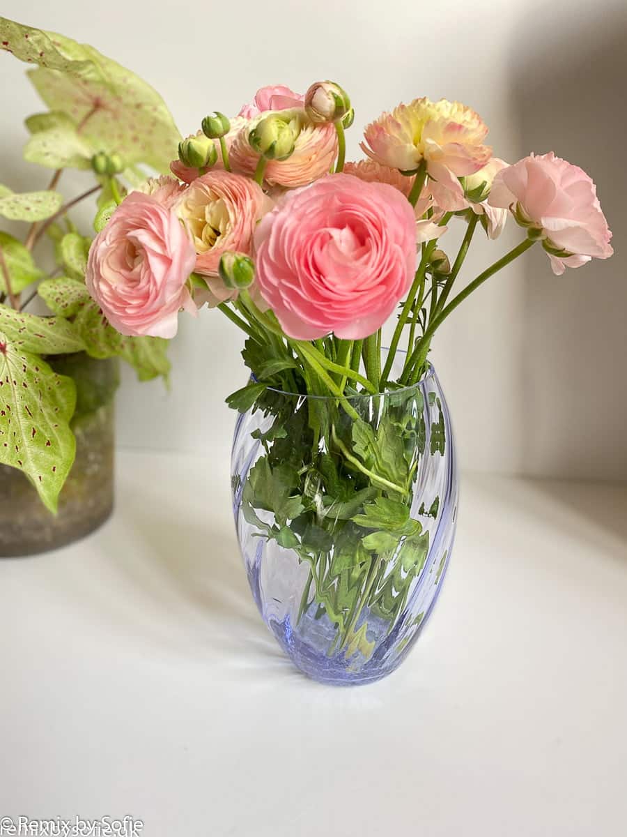 Anna von Lipa, blomvas, vas, blomvas, ellips, vridglas, virvlande vas, virvlande,