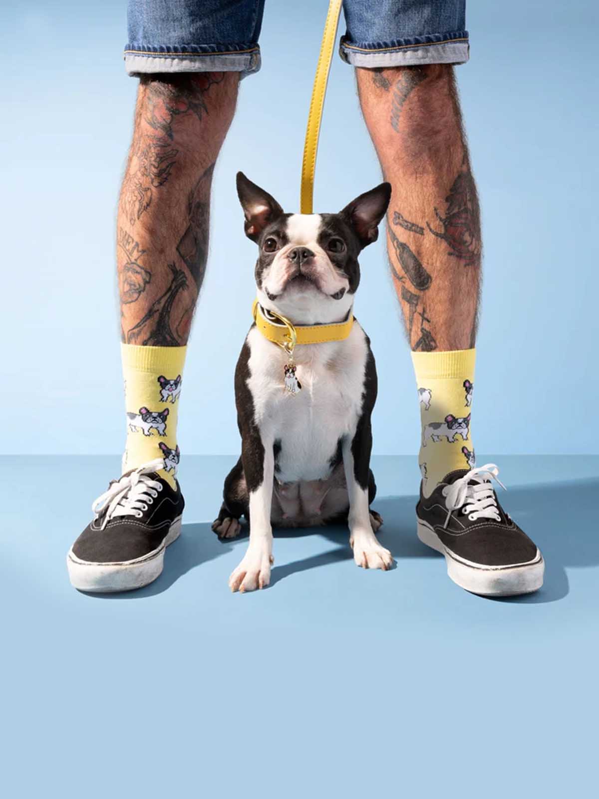 Ljusgula strumpor med bulldoggar - Coucou Suzette