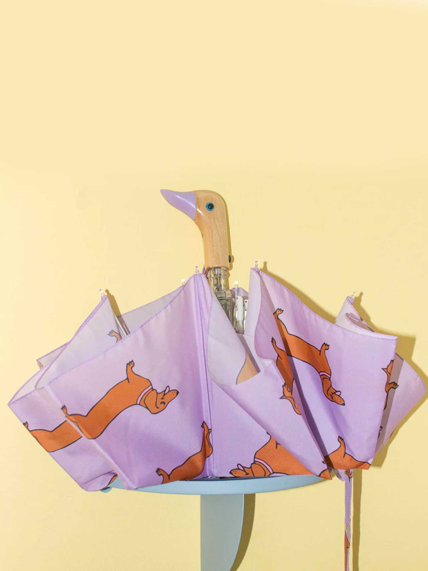 Paraply, Cou Cou Cou Suzette Paraply i samarbete med original Duckhead, Lila Paraply med Dachshunds.