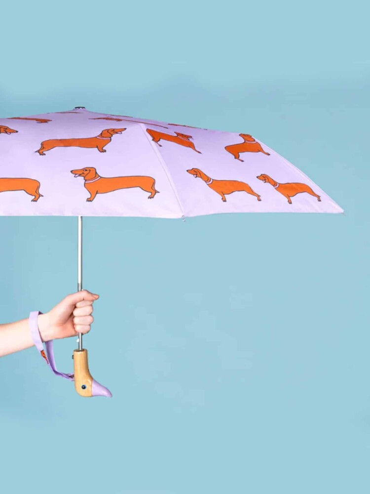 Paraply, Cou Cou Cou Suzette Paraply i samarbete med original Duckhead, Lila Paraply med Dachshunds.