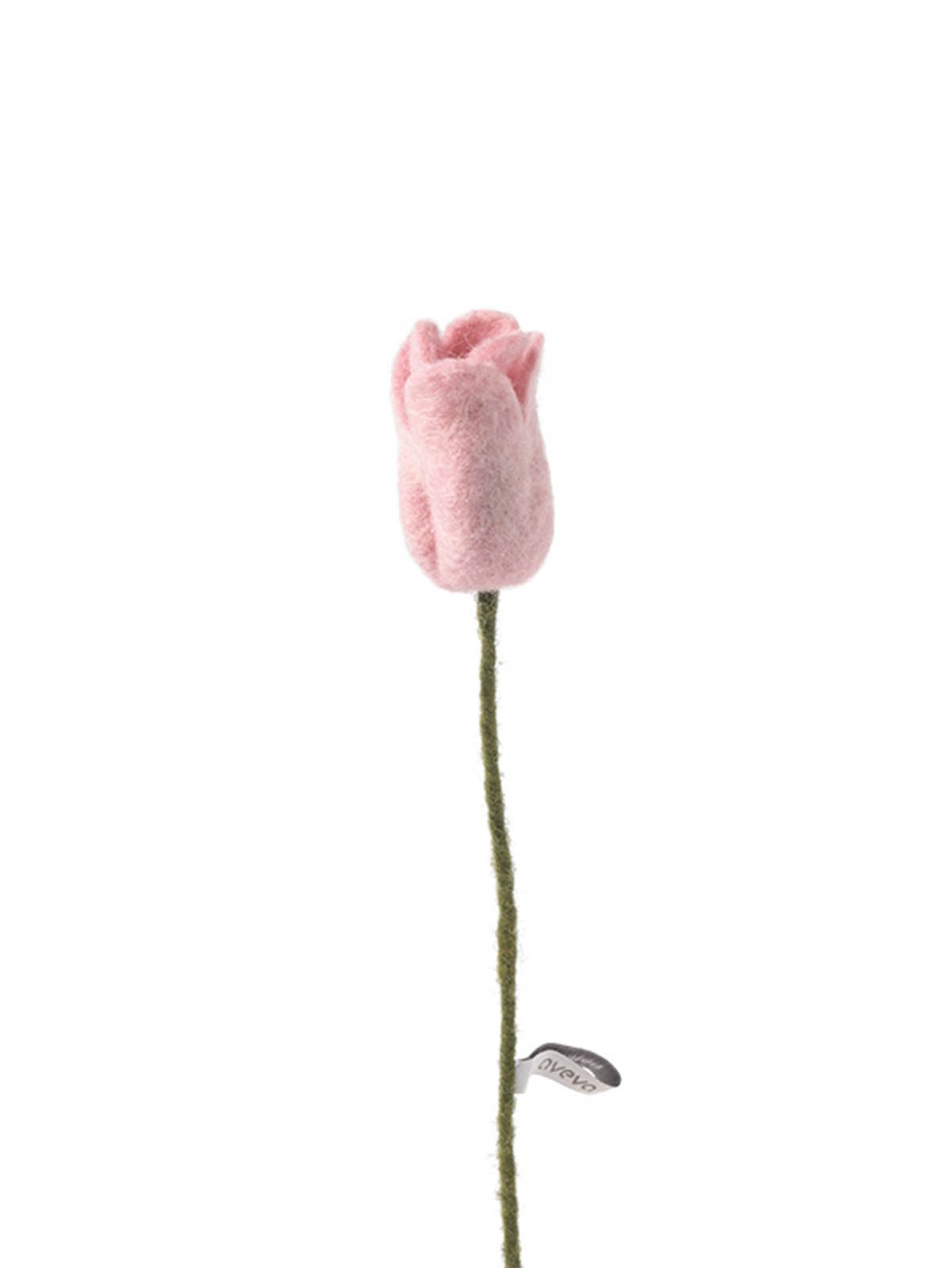 aveva kände blommor rosa ros