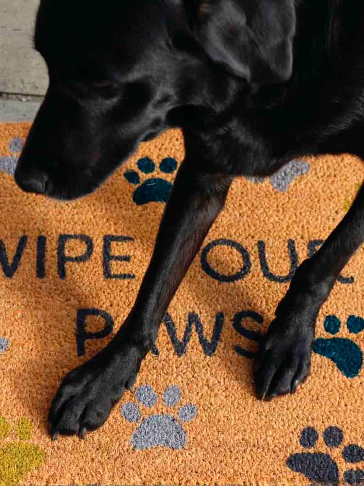 remixa av Sophie dörrmatta i kokosfiber & quot;torka dina tassar" med hundtassar