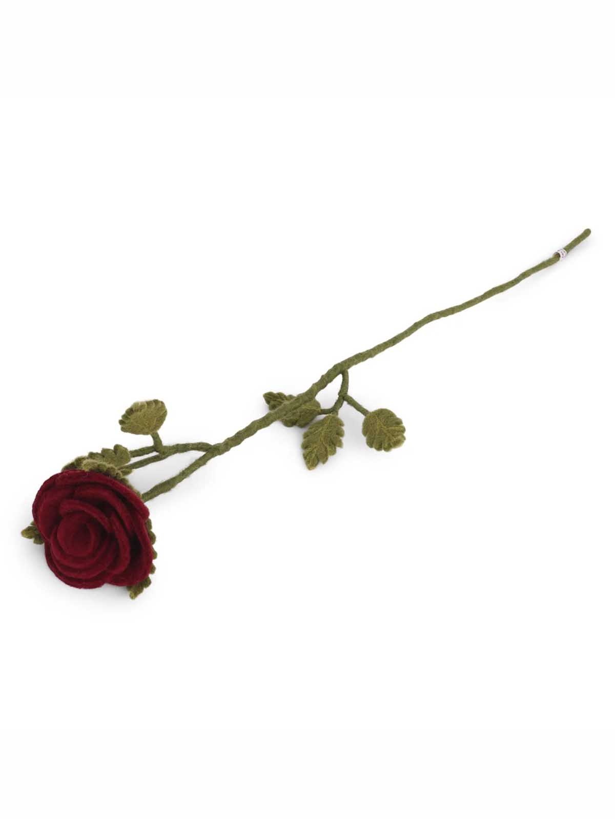Grädde och sif kände blommor - röd ros - studenter ros