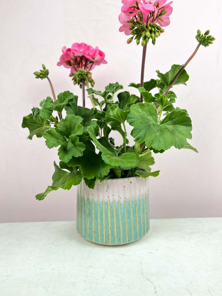 Trine Lise keramisk blomkruka rosa och mint