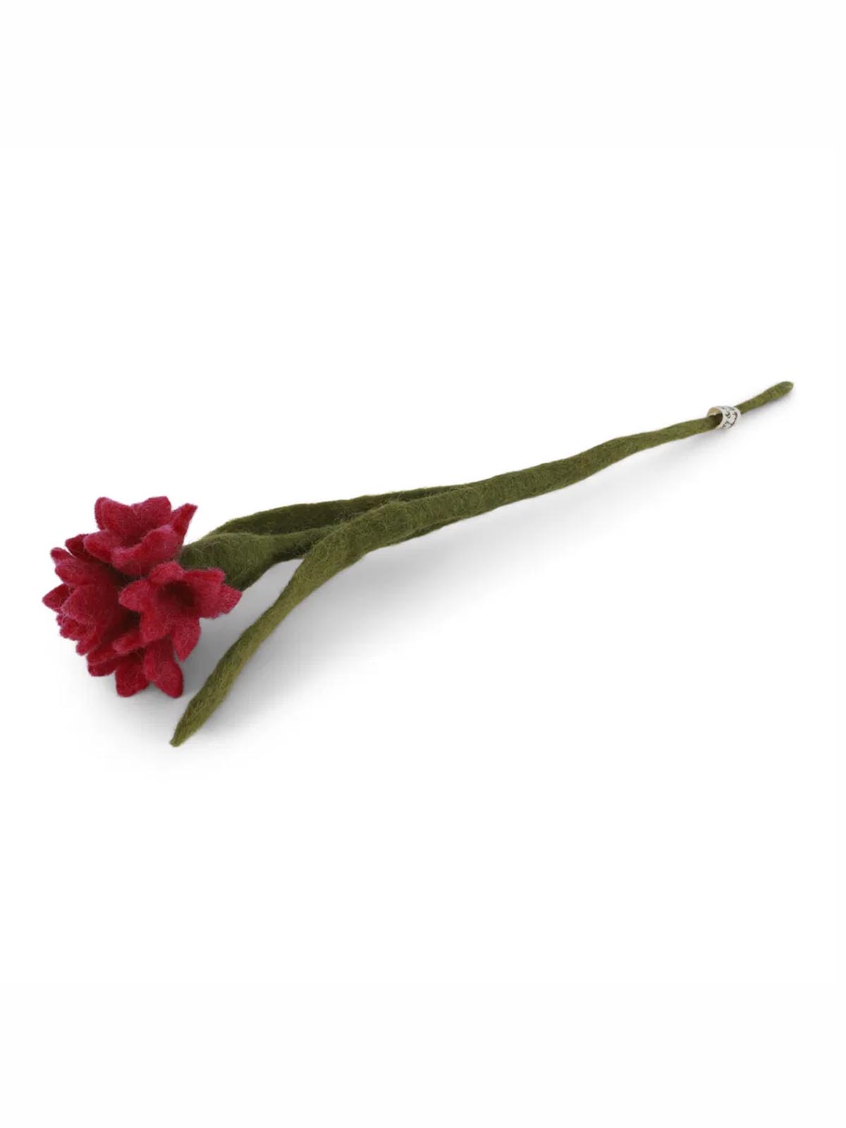 Filtkornblomma (33 cm) - Cerise(rosa)