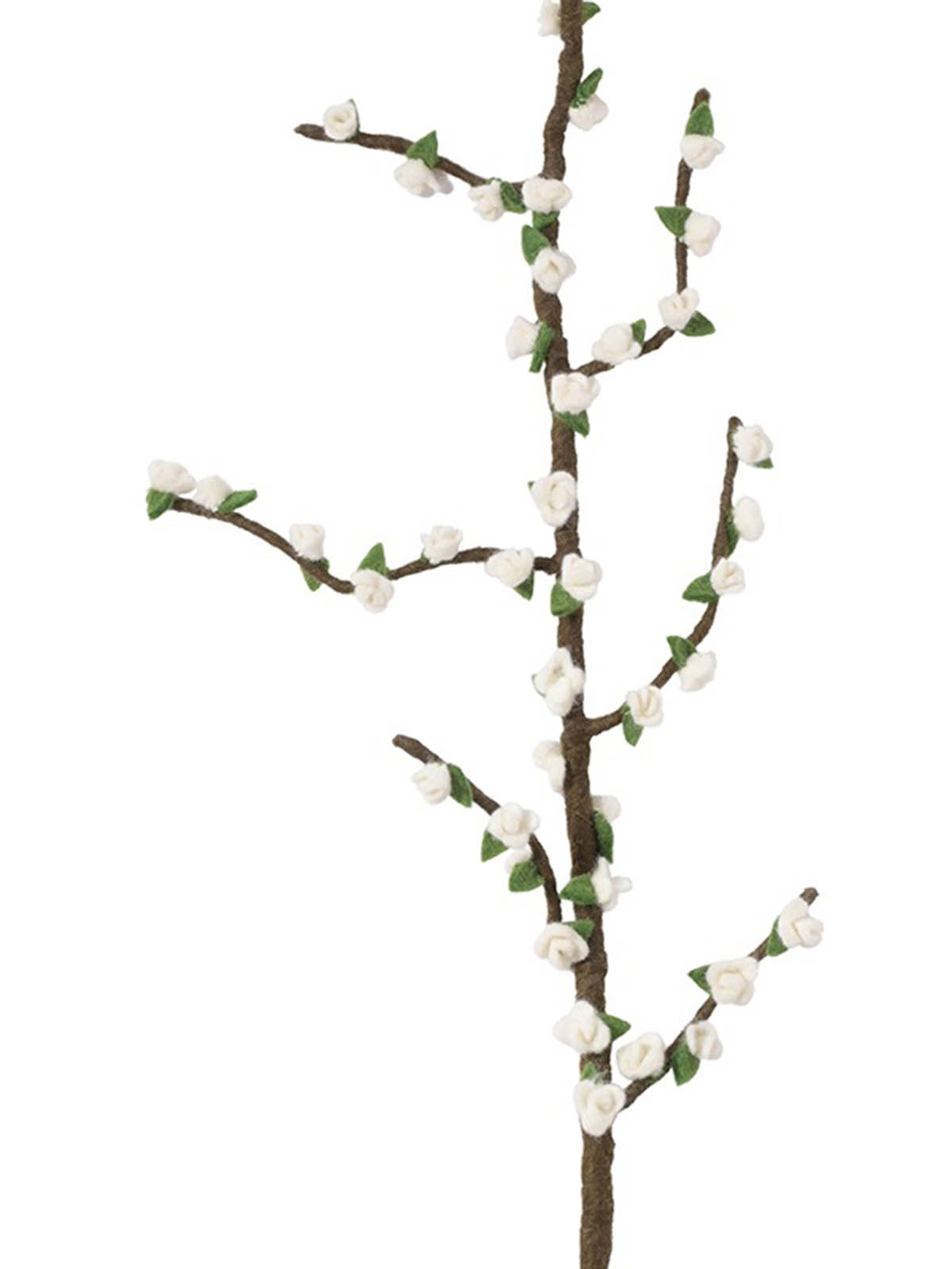 Aveva kände blommor fairetrade