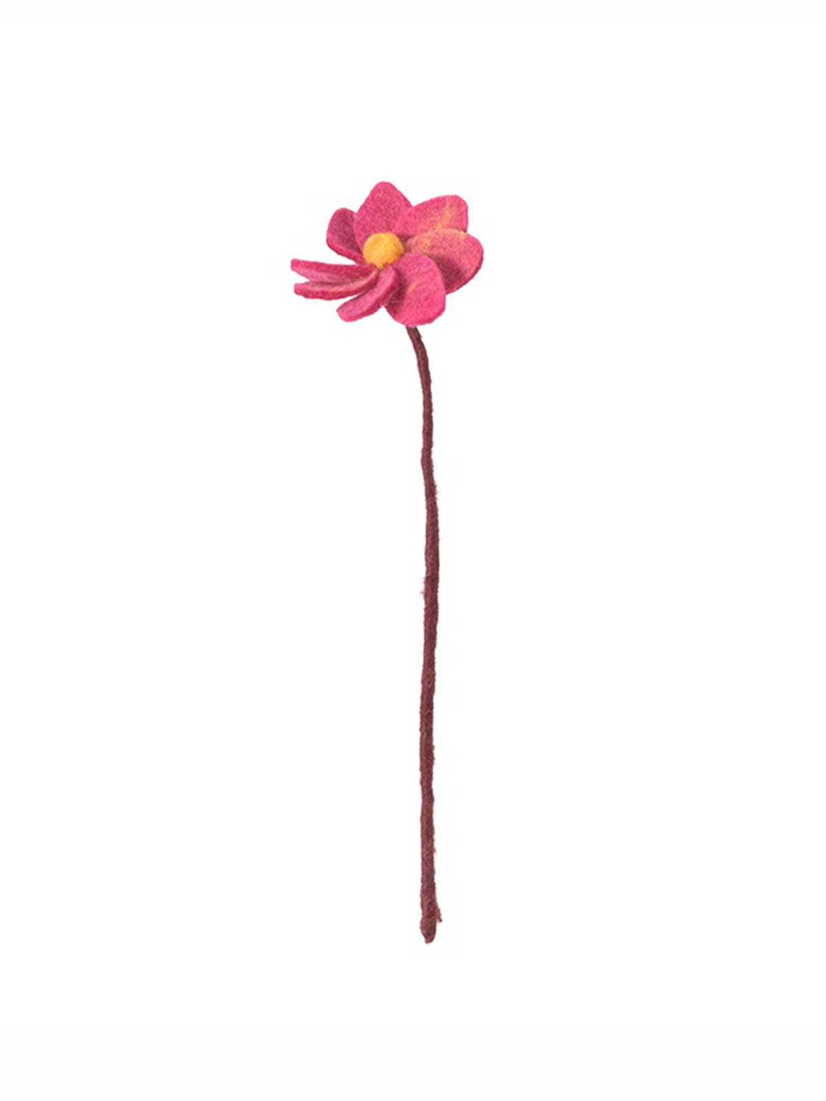 Aveva kände blommor fairetrade