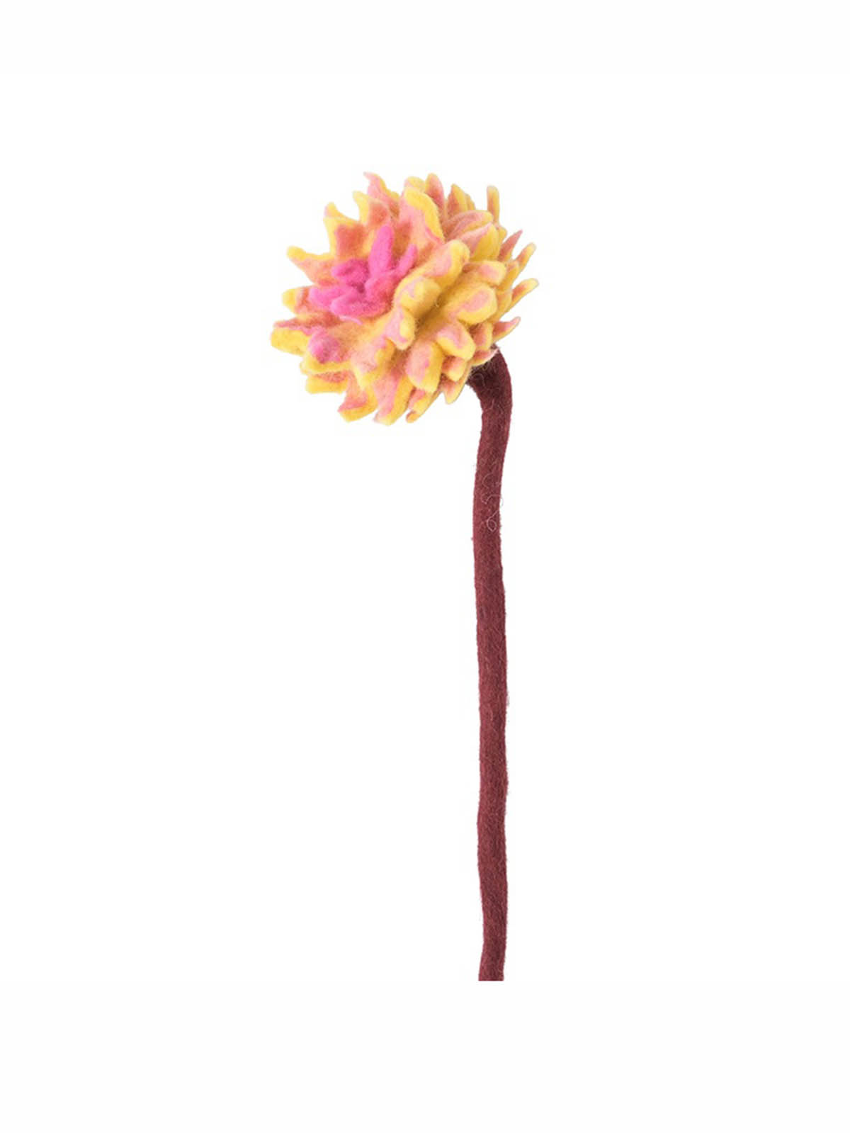 Aveva kände blommor fairetrade