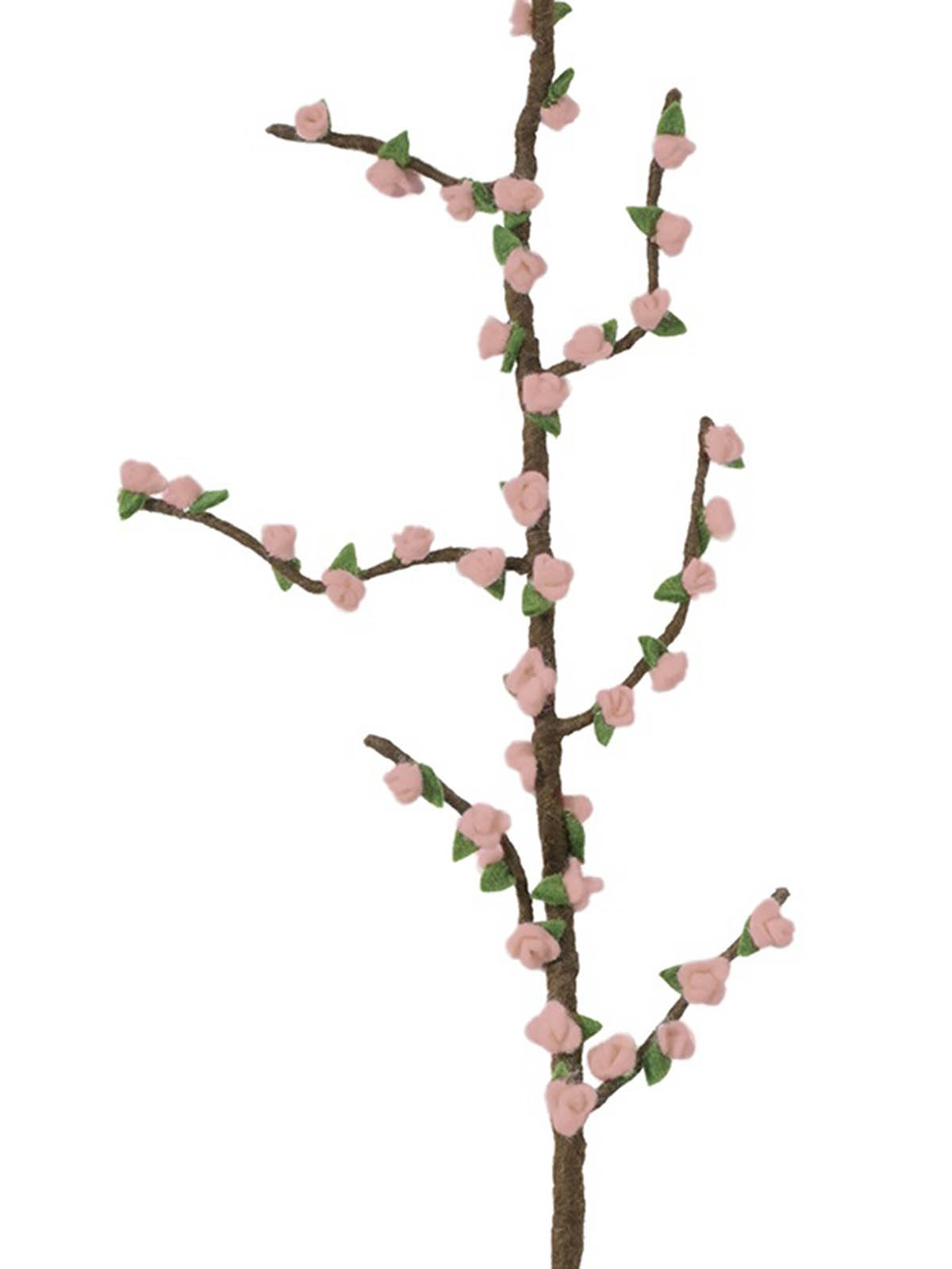 Aveva kände blommor fairetrade