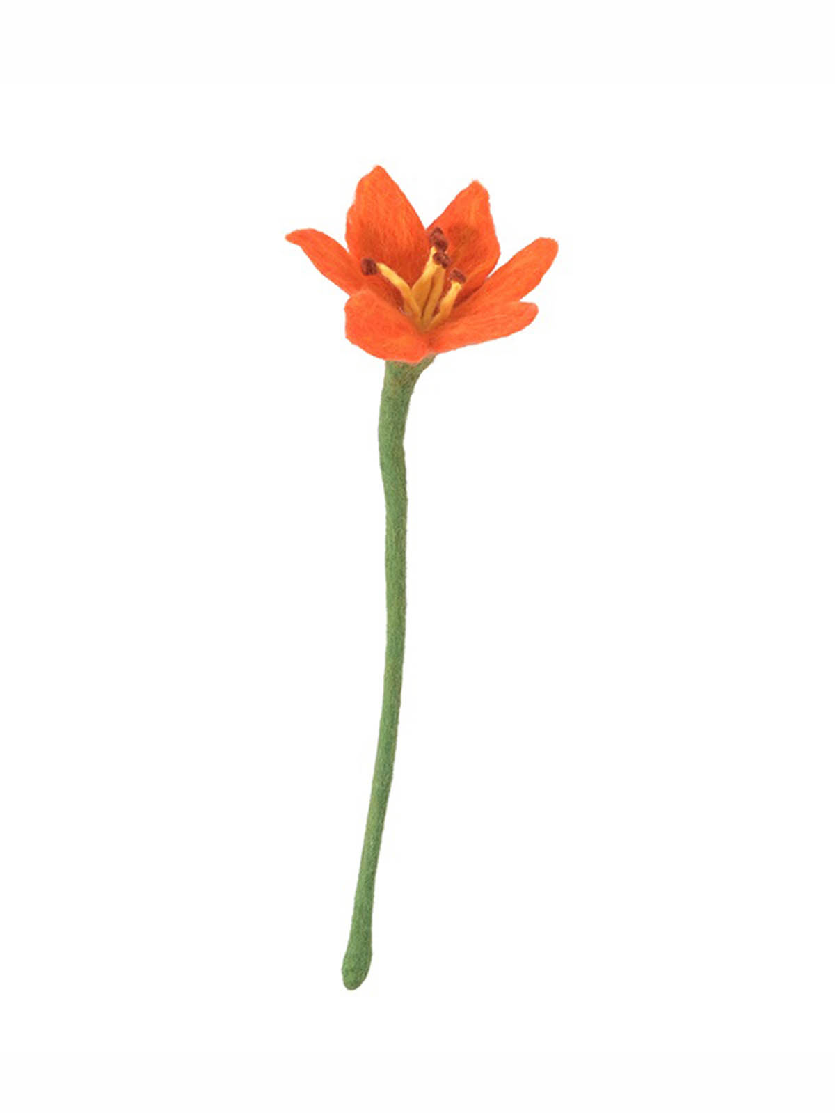 Aveva kände blommor fairetrade