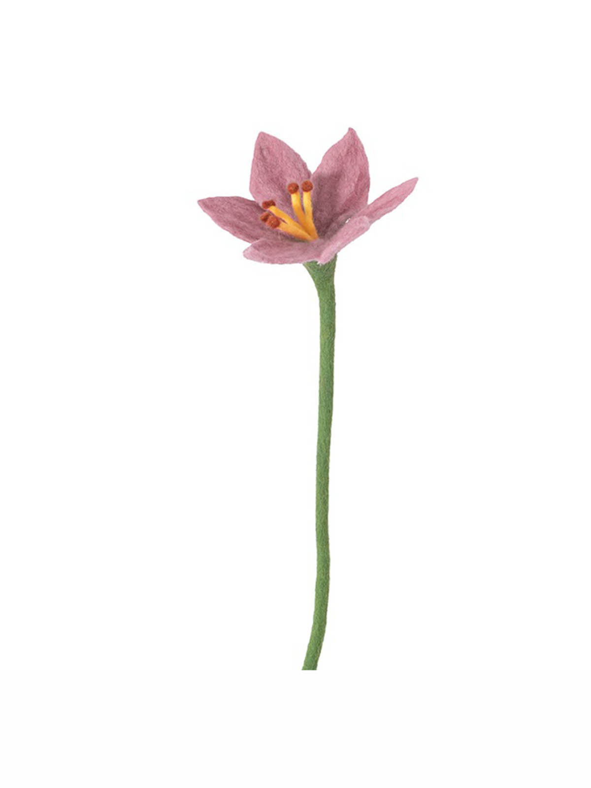 Aveva kände blommor fairetrade