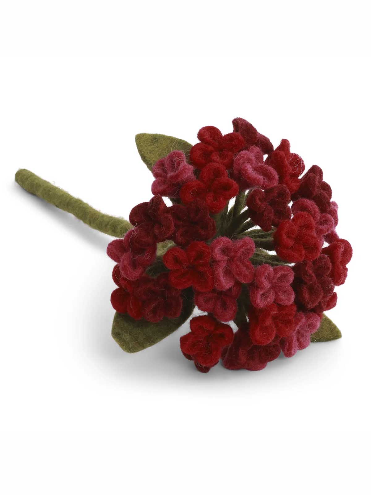 Känd stor hortensia - Röd