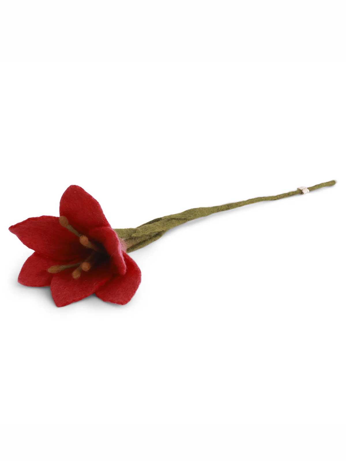 Filtblommig trumpetlilja (47 cm) - Röd