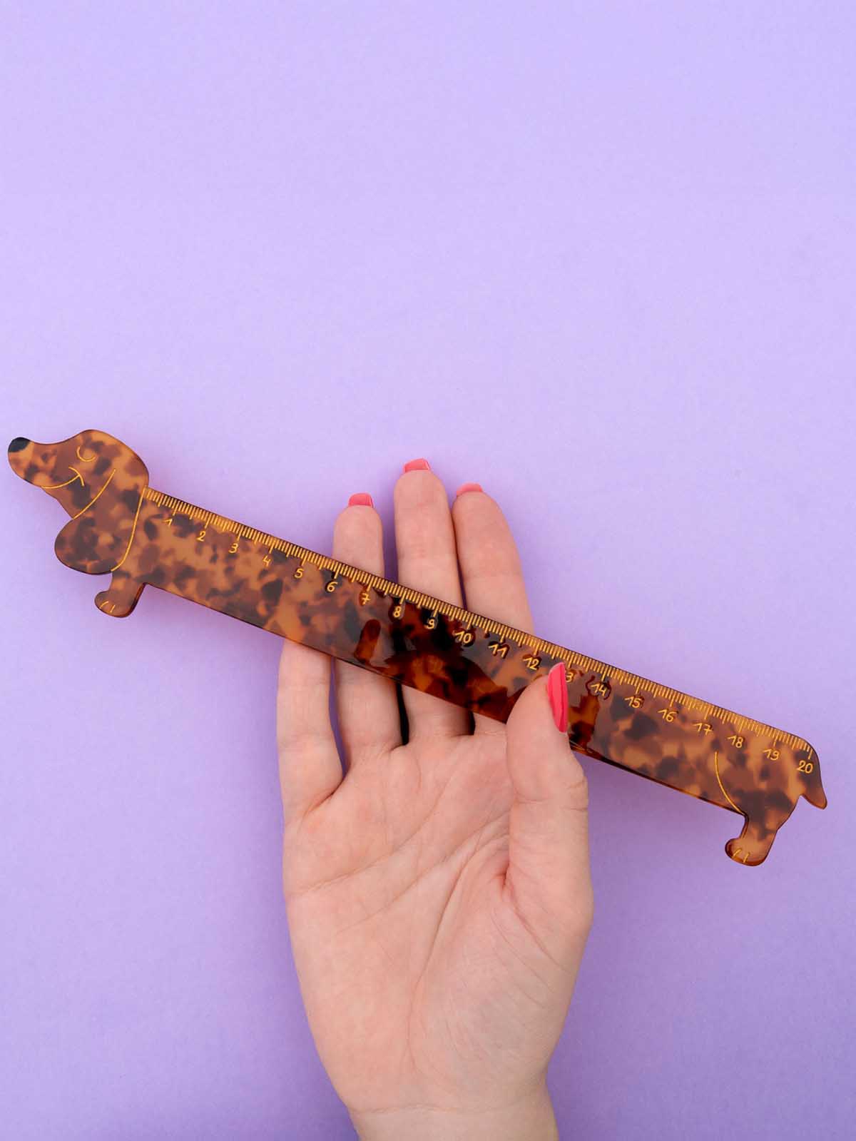 Lineal - Dachshund