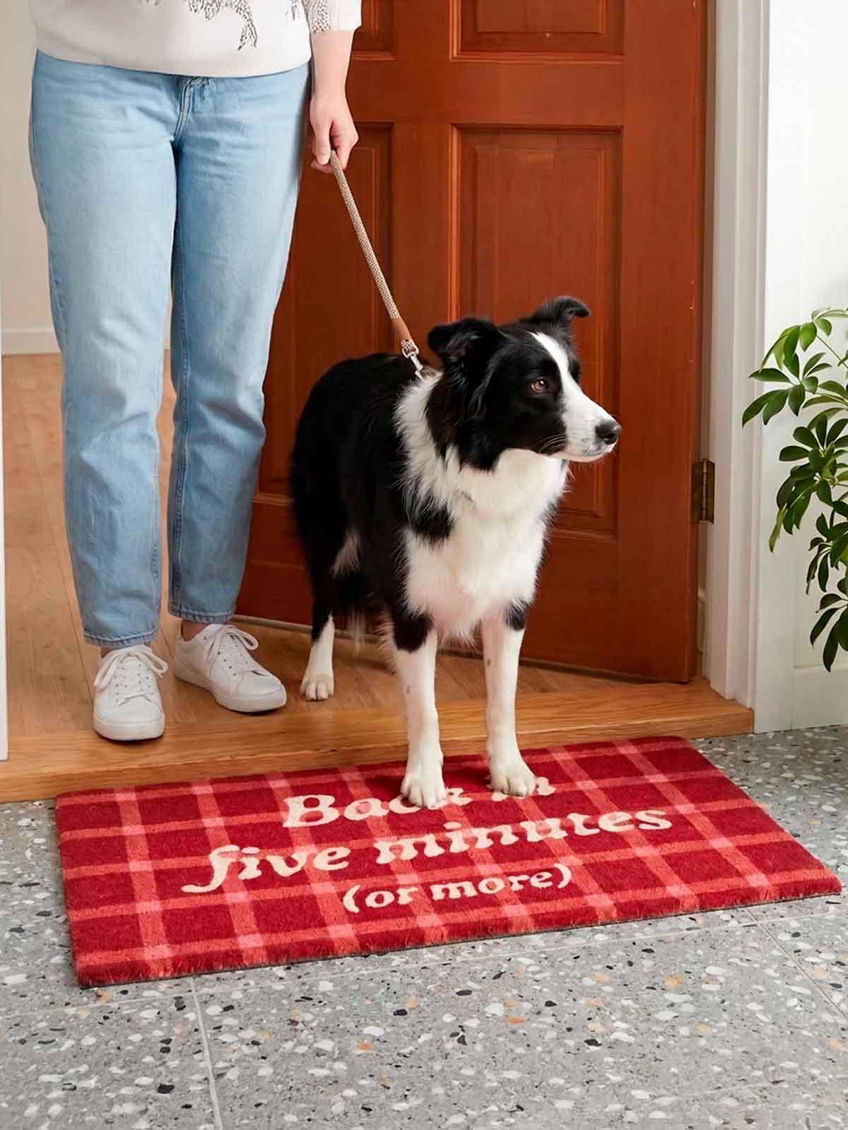 Alternativ syn på dörrmattan 40 x 70 cm - tillbaka på fem minuter